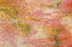 00-69 Gold-Rosa, Weiß, Waldgrün