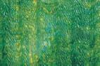 50-74 Emerald-Grün und Gelb-Grün