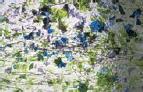11-51 Klar mit Lila-Blauen Konfettis und grünen Fäden