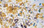 11-91 Klar mit Amber-Blau-Lila Konfettis und Braunen Fäden