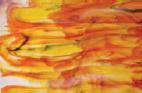 60-60 Gelb-Orange-Weiß-Grün