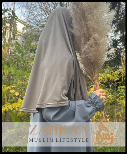 Amira Basic