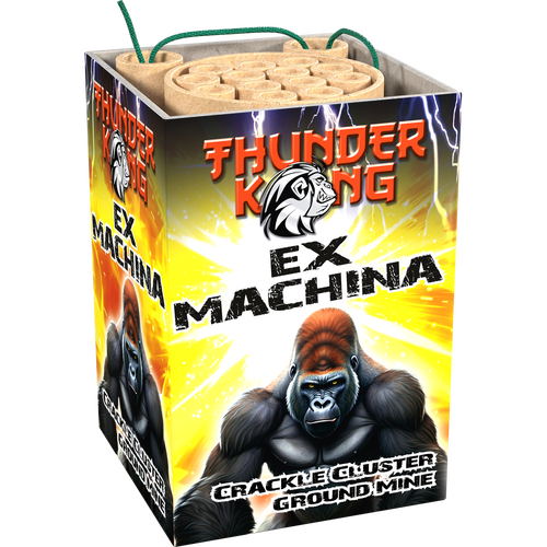 Lesli Ex Machina