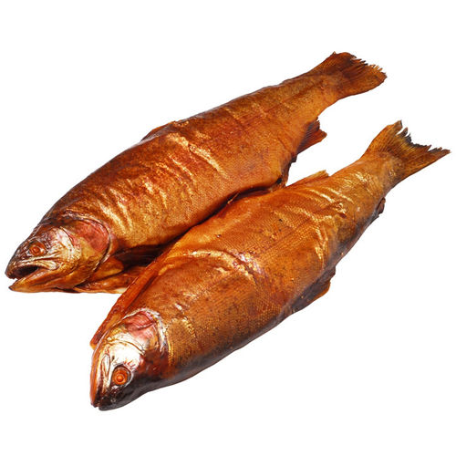 Lachs Forelle   heiß geräuchert