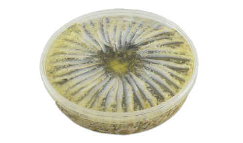 Sardelle Mariniert