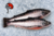 Lachs - "Frisch" 3-4kg