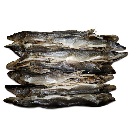 Щука с головой , потрошеная ,соленая,сушёная