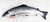 Lachs - "Frisch" 4-5kg