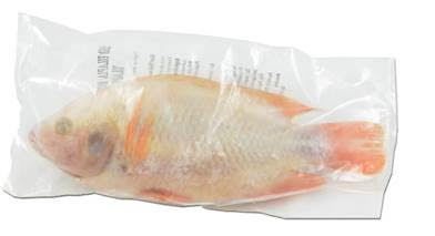 ROTE BUNTBARSCH (TILAPIA)  ROH AUSGENOMMEN UND GESCHUPPT