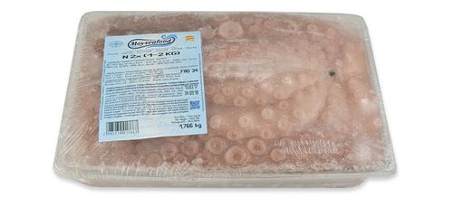 OCTOPUS ROH SAUBER