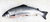 Lachs - "Frisch" 5-6kg