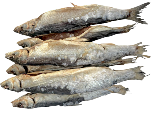 Сиги с головой ,солёно- сушёные