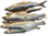Felchen mit Kopf ausgenommen ,gesalzen und getrocknet